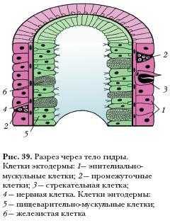 Сайты продаж наркотиков